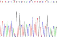 分子生物学平台介绍